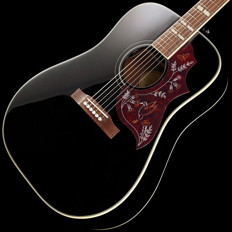 Epiphone Hummingbird PRO (EB)の画像